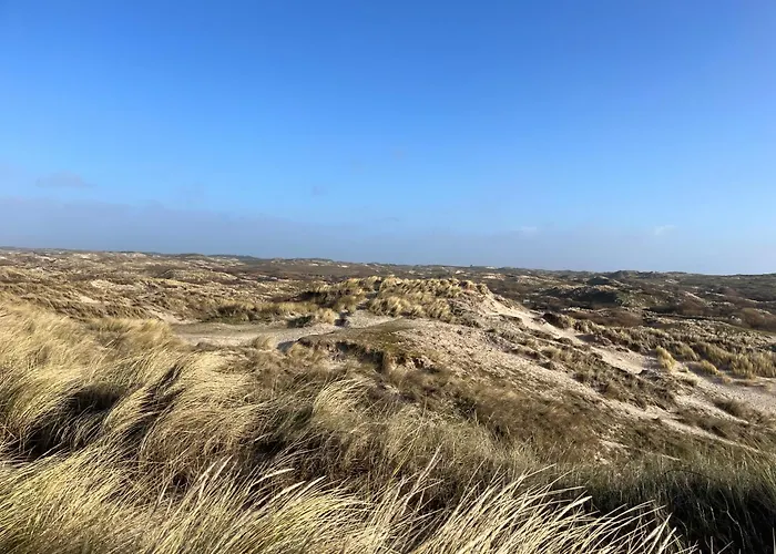 Aan Zee * Egmond aan Zee